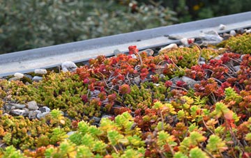 the cost of Hare Edge green roof installation